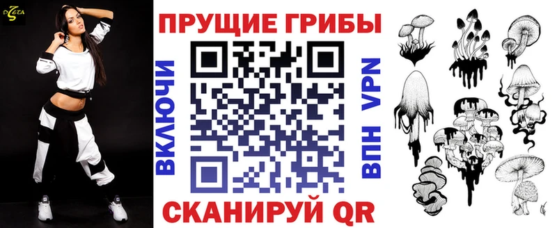 Галлюциногенные грибы GOLDEN TEACHER  Купить  Калининград 